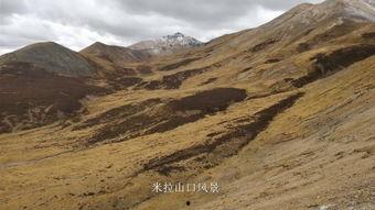 途观西藏旅游最新爆料,途观带你领略神秘高原风光